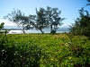 noumea-13-05-09-106