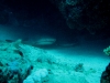 noumea-18-04-09-018