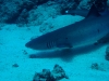 noumea-18-04-09-076