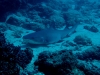 noumea-18-04-09-090