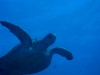 noumea-18-04-09-107