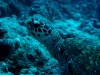 noumea-18-04-09-154