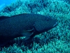 noumea-18-04-09-176