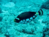 noumea-18-04-09-213
