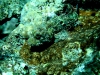 noumea-18-04-09-301