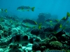 noumea-18-04-09-539
